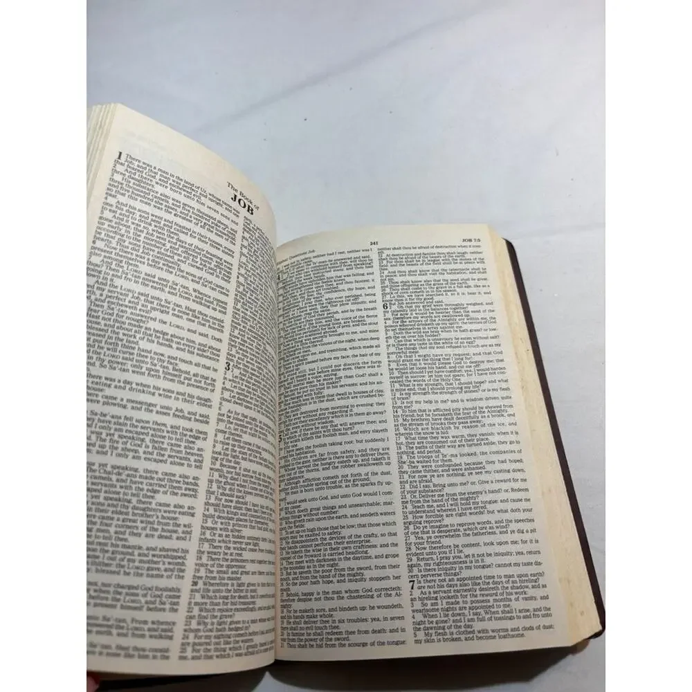 Vintage Holy Bible King James Version